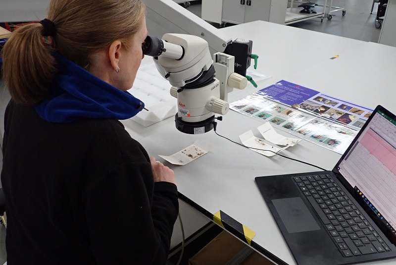 Maurice Bond Lecture 2026 Announced